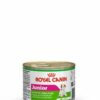 Royal Canin Junior Dog Food 195g