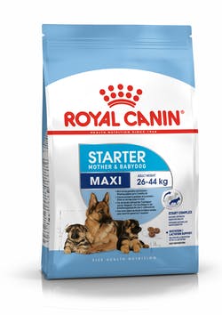 Royal Canin Maxi Starter Mother Babydog Dog Food 4kg